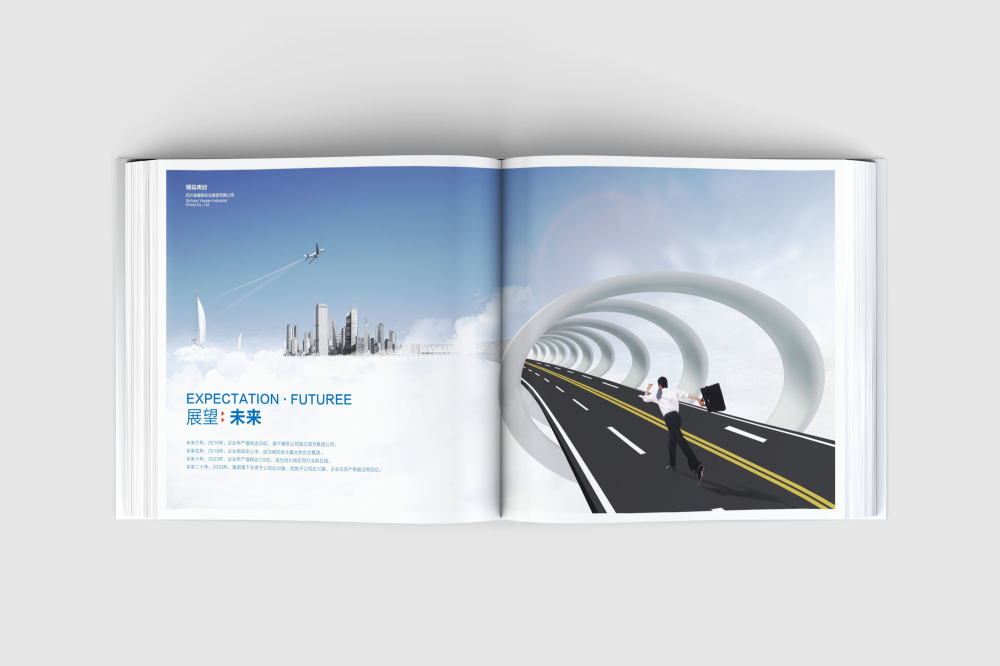 巴里坤画册设计